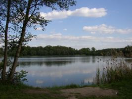 Labe 20 A-Ostrá 20.5.05 (2).jpg